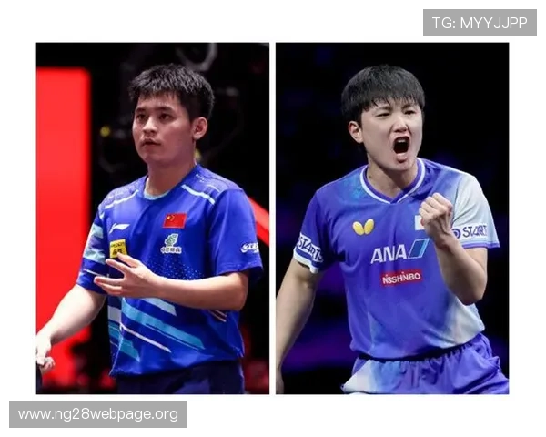 南宫壹号电子娱乐中心的会员制度与积分奖励机制详尽解读