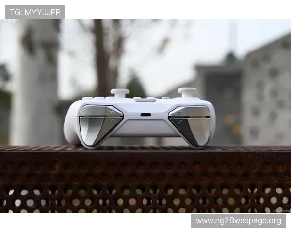 南宫线上官方入口多平台支持，PC端与移动端无缝切换畅享游戏乐趣